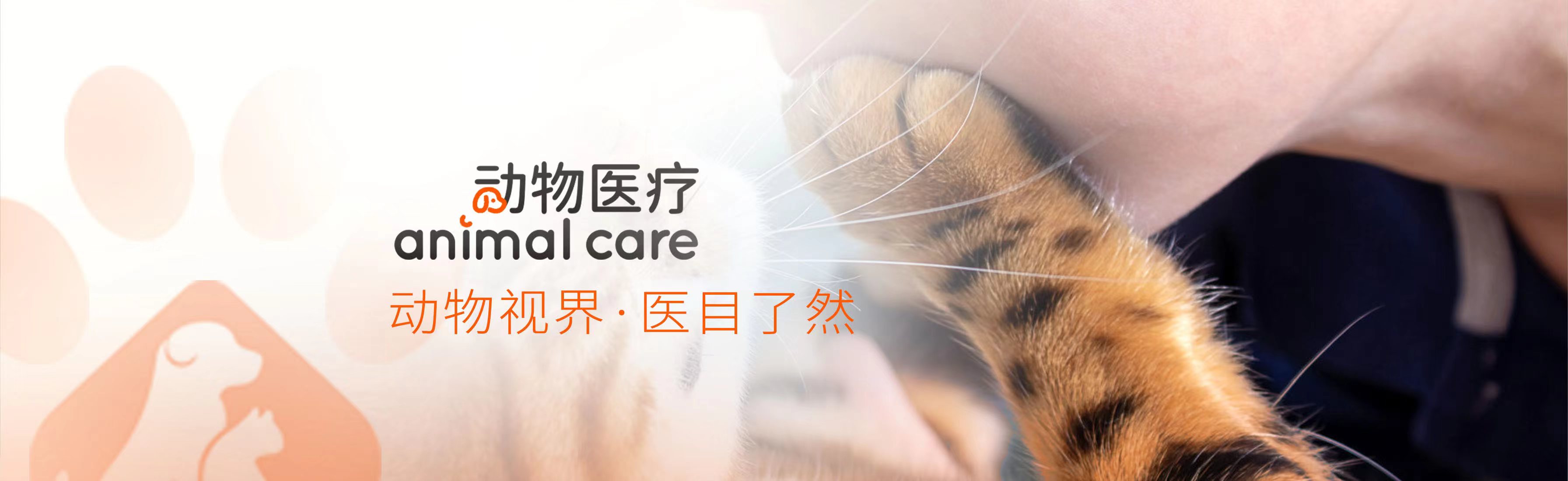 動物醫(yī)療