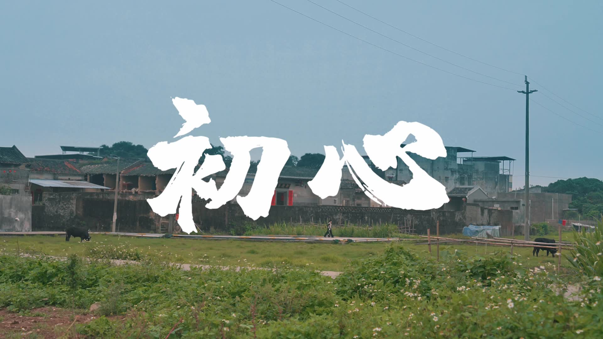 血氣十年 不止十年：初心篇